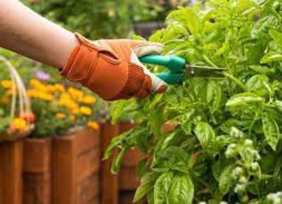 ������ ������� ���� � ���� � �������� ������ ����