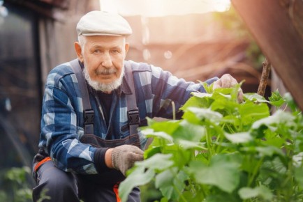 ������� �������� ������: ����������� �������� ������� �������