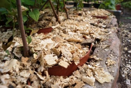 ��� ������ ����� ����� ��������� ���������� ��� ������ �������