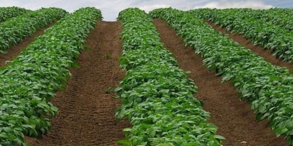 ��� �������� ��������� �� ���������: ����������� ������ � �������