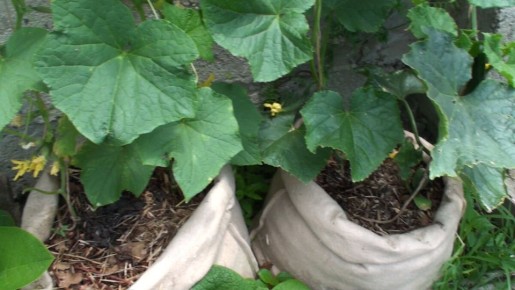 ����������� ������� � ������: ������� ��������� ������