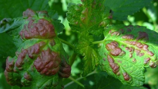 ��� ���������� � ��������� �������� �� ���������