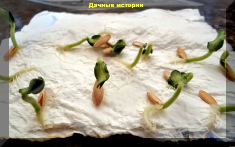 ��� ��������� �������� ������ �� �������: ������ ��� ���������� ��������