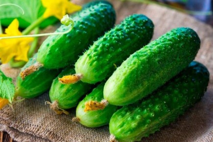 ������ ���������: ��� ��������� ����� ��� ��������� ������