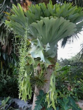 �����������: � ���� ���� ����, ��� ���������� ��������!