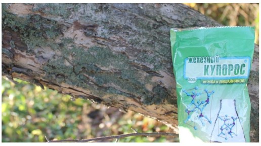 ��� �������� ������� ���������� ������ �������: ������� ��������� ����� �� �����