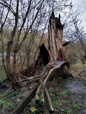 ������ ����, ������!. ������� ��������� ������� ��������� ����� ��� ����� +6�� ����������� �������� 732 �� ��. ��. ����� ������-��������, ���� �� ��������� 5 �/� (���� �������� ���������) ��� ����� � ���