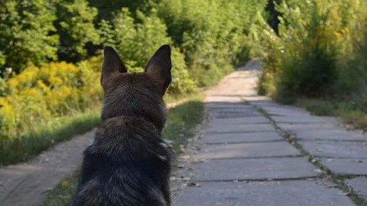 ����� �������� �������� ��������� ���������� �������������� �� �������