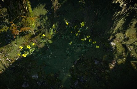 ���������� �����: ������� �������� �������� ���������