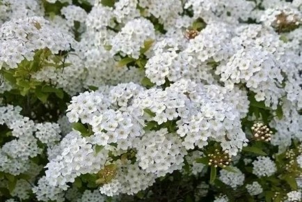 40 ����� ����������� �������� � �������� ������ ����