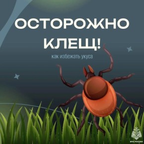 ���������: �����. ������ � ������ ������������ �����, ������� ����� ���������� �� ���� �������� � ������������ ��������� ������ ��� �������� ����� � ��������