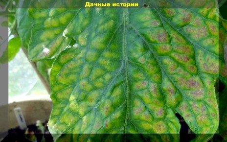 ���������� �������� ������ � ��������� ���������