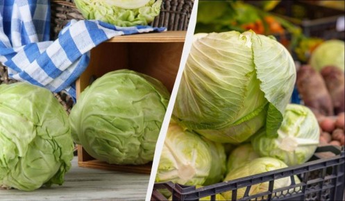 ������� ������� �������� �������: ��� ��������� �������� �� ���������� ������?