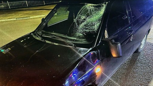 � ���� ����� �������� �� ������������ ��������