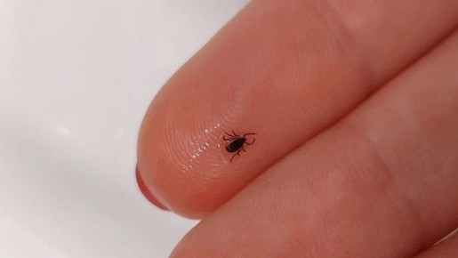 32 ������� � ��������� ������� ���������� �� ������ ������