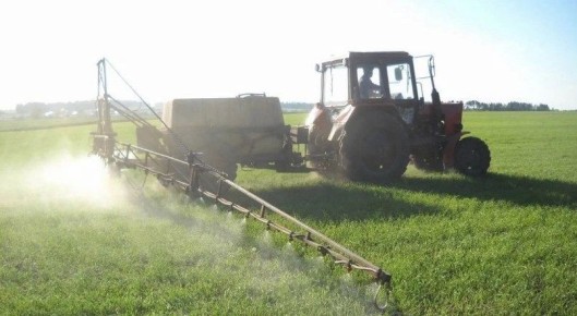 ����������� ������������������ �� ��������� �������� ������� ����������� ��������� � �����������