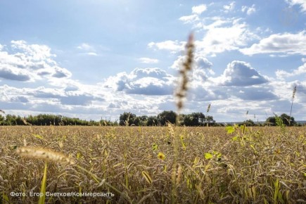 ��������� � �������� 1 ���� ����� ���� �� ��������� ������� � ������