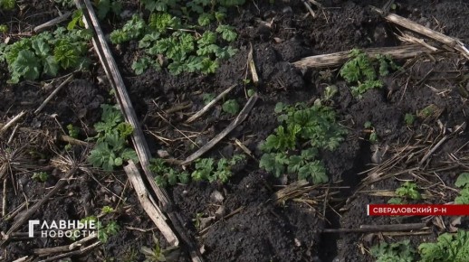 � ��������� ������� ������� ������ � 2026 ���� ������� ����� � ������� ����������