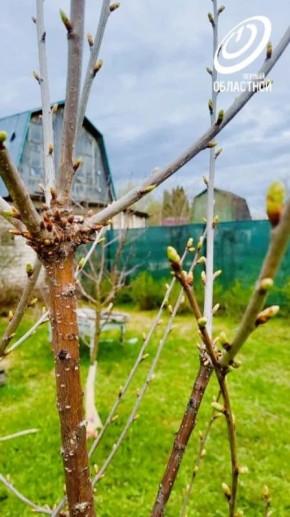 �������, �����-�� ������������!