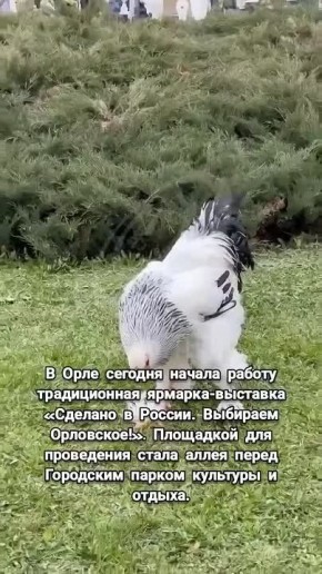 � ���� ������� ������ ������ ������������ �������-�������� �������� � ������. �������� ���������!�