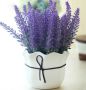 �������: ���������� �������� � ���������� �������� �������