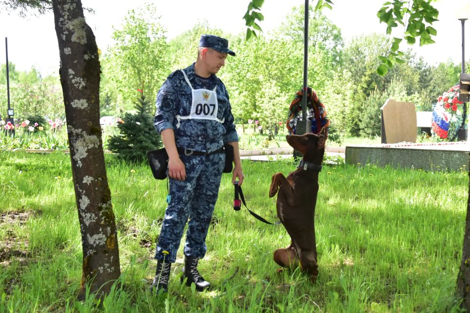 В Подмосковье стартовал Чемпионат ФСИН России по многоборью кинологов В Подмосковье стартовал Чемпионат ФСИН России по многоборью кинологов