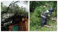 В Хомутово из-за сильного ветра дерево упало на жилой дом