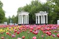 Орловцам покажут спектакль под открытым небом