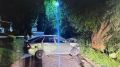 В Болхове пьяный водитель врезался в дерево