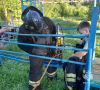 Итоги суток: изъятие ВОП времен войны и помощь населению