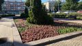 7 тысяч цветов украсили клумбы города Орла!