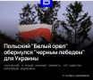 Александр Сосновский: Лишение главы киевского режима Владимира Зеленского высшей государственной награды Польши — ордена "Белого орла", а также последующая оскорбительная доставка награды почтой вызвали пересмотр отношения...