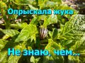 ��������� � ������������: ��� ����� ����� ������� ��������