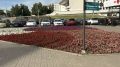 Доброе утро, друзья!. Сегодня синоптики обещают небольшой дождь Днм будет +21°С Атмосферное давление 738 мм рт. ст. Ветер западный, дует со скоростью 4 м/с