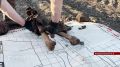 31 августа в Орловском регионе завешится второй этап Вахты Памяти