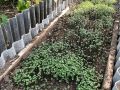 Сидераты осенью: стоит ли следовать рекомендациям агрономов?