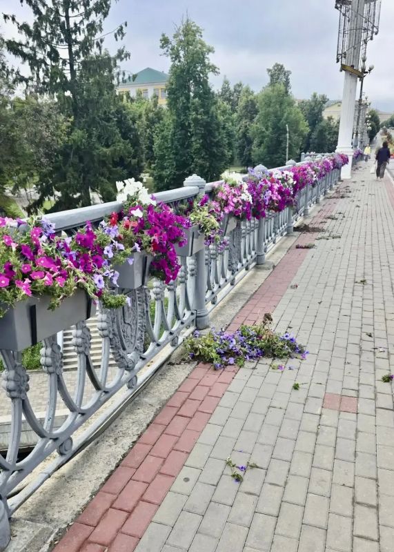 В Орле вандалы повредили цветочные кашпо на Ленинском мосту В Орле вандалы повредили цветочные кашпо на Ленинском мосту