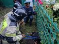 За дежурные сутки в Орле и Ливнах спасли двух пушистых четвероногих За прошедшие сутки орловские пожарно-спасательные подразделения выезжали 9 раз, из них 5 выездов на ликвидацию возгораний, в том числе на...