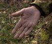 Уже 1669 жителей Орловской области обратились за медпомощью после укусов клещей