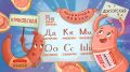 Секреты колбасного царства: от «А» до «Я» о вкусе и разнообразии