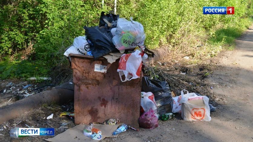 Орел выделит полтора миллиона рублей на уборку незаконных свалок