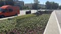В Орле начали украшать цветами большую клумбу у «Трилистника»