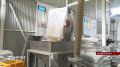 За I полугодие Орловщина отправила на экспорт около 4 тыс