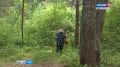 В орловских лесах потерялись три грибника
