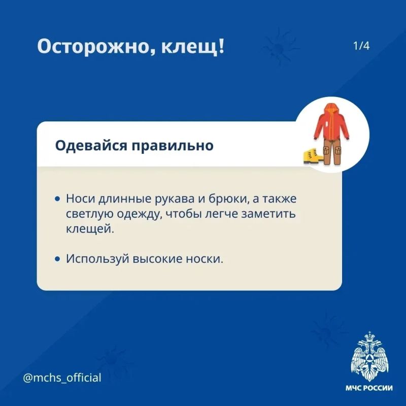 Безопасность выходного дня: отдых на природе Безопасность выходного дня: отдых на природе