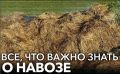 Темные тайны навоза: неожиданные подводные камни органического земледелия