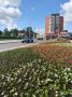 Свыше 17 тысяч кустов петунии, бархатцев, агератума и целозии украсили центр Орла