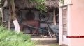 В селе Долбенкино Дмитровского района есть место, где время остановилось