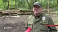 Орловские лесничие борются за здоровье "зелёных лёгких" региона