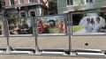 На улице Ленина в Орле открылась выставка